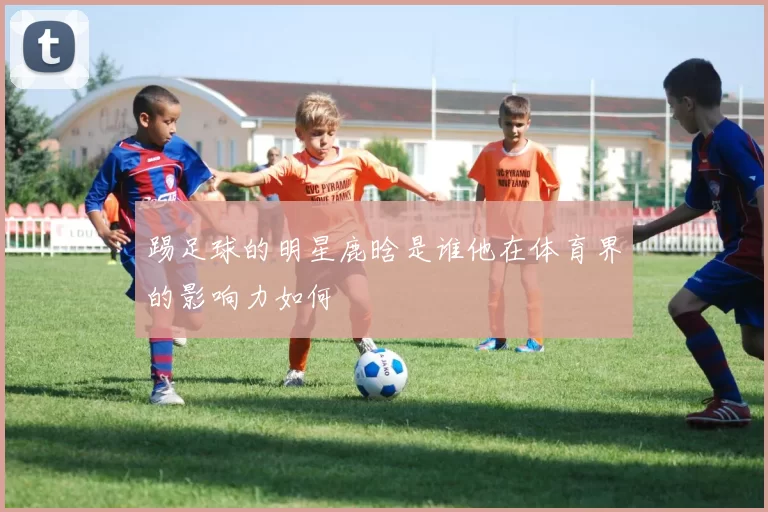 踢足球的明星鹿晗是谁他在体育界的影响力如何