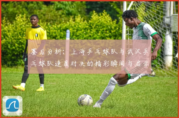 赛后分析：上海乒乓球队与武汉乒乓球队速度对决的精彩瞬间与启示