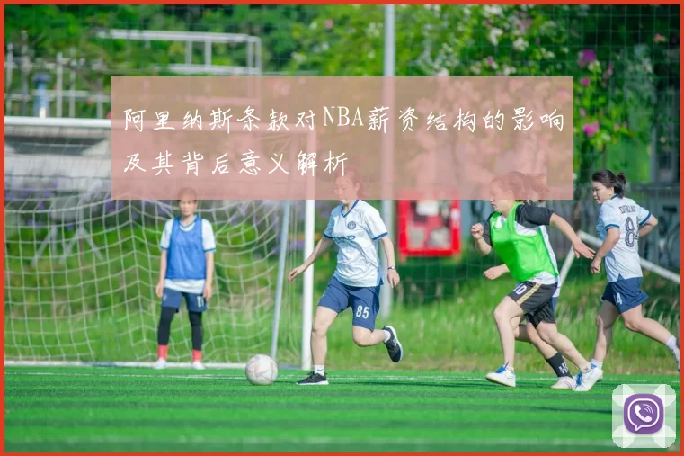 阿里纳斯条款对NBA薪资结构的影响及其背后意义解析