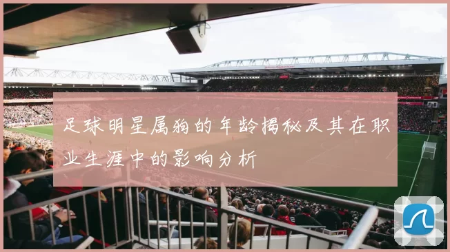 足球明星属狗的年龄揭秘及其在职业生涯中的影响分析