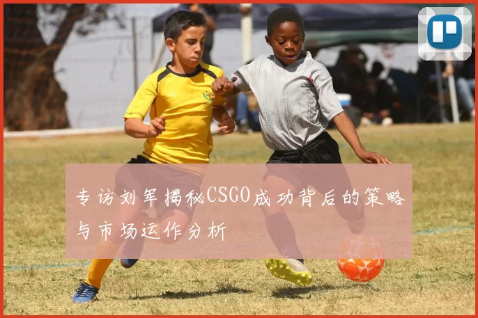 专访刘军揭秘CSGO成功背后的策略与市场运作分析