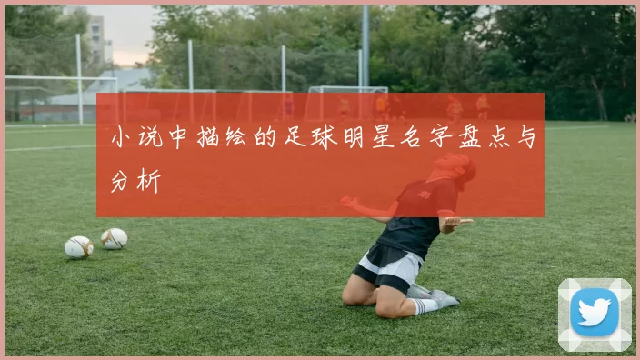 小说中描绘的足球明星名字盘点与分析