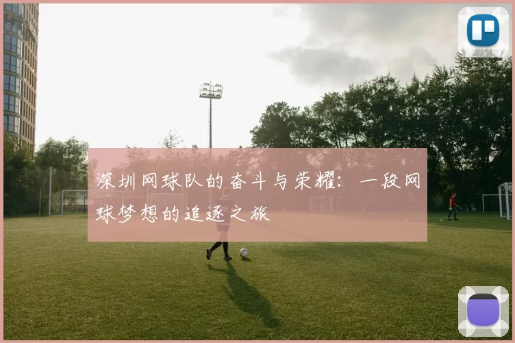 深圳网球队的奋斗与荣耀：一段网球梦想的追逐之旅