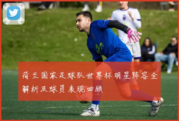 荷兰国家足球队世界杯明星阵容全解析及球员表现回顾