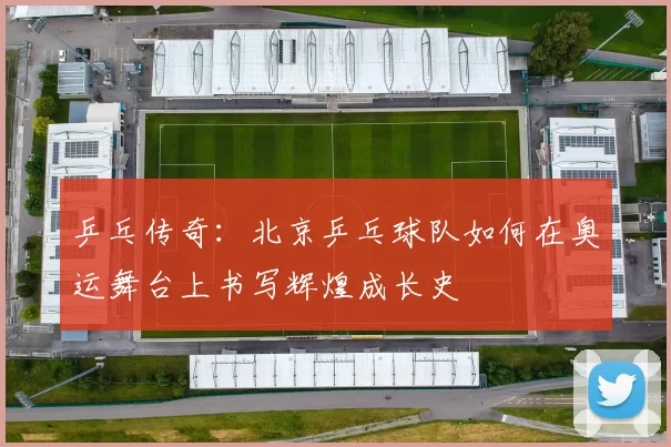 乒乓传奇：北京乒乓球队如何在奥运舞台上书写辉煌成长史