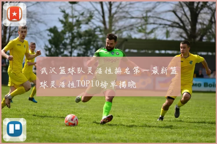 武汉篮球队灵活性排名第一最新篮球灵活性TOP10榜单揭晓
