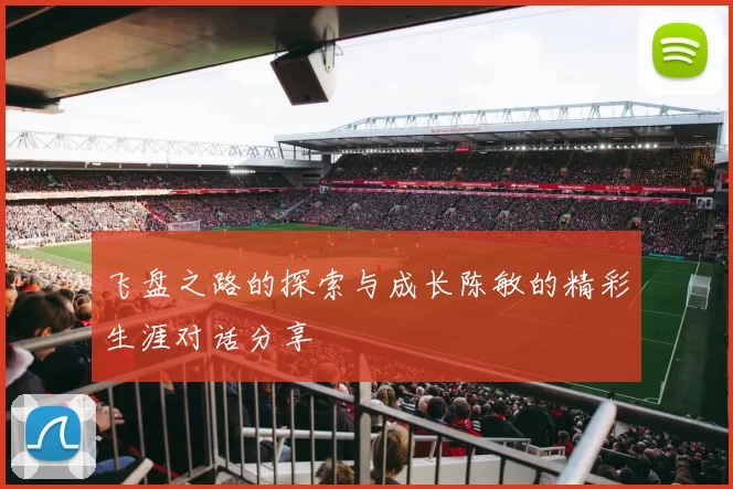 飞盘之路的探索与成长陈敏的精彩生涯对话分享