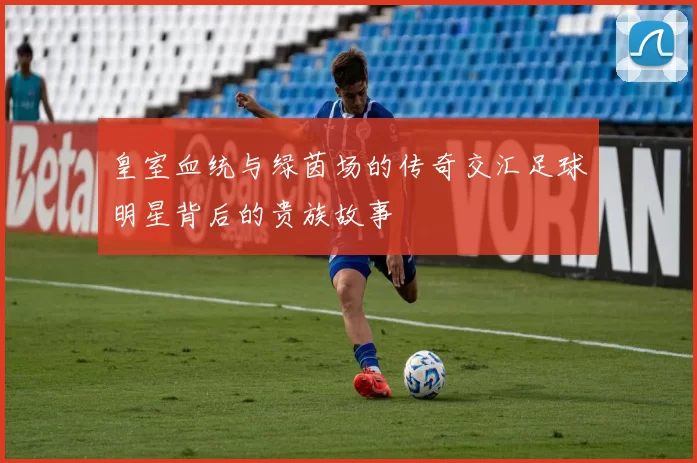 皇室血统与绿茵场的传奇交汇足球明星背后的贵族故事