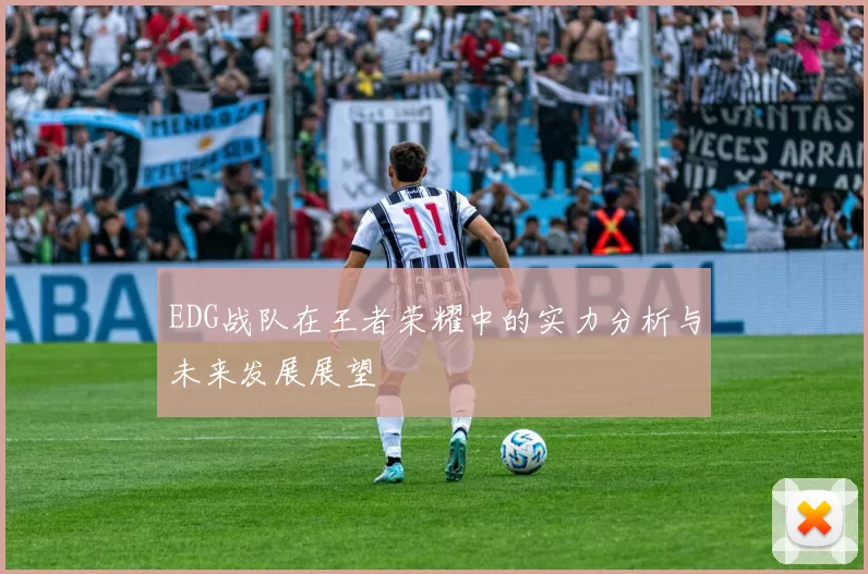 EDG战队在王者荣耀中的实力分析与未来发展展望