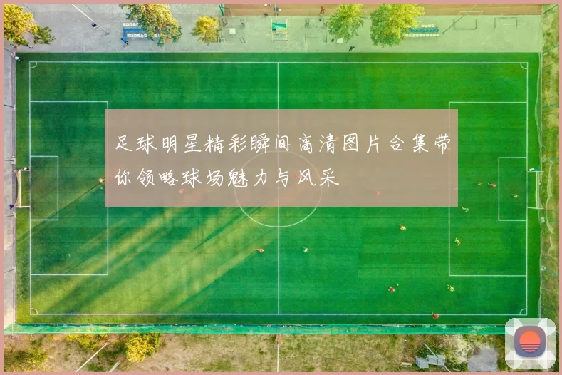 足球明星精彩瞬间高清图片合集带你领略球场魅力与风采
