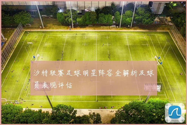 沙特联赛足球明星阵容全解析及球员表现评估