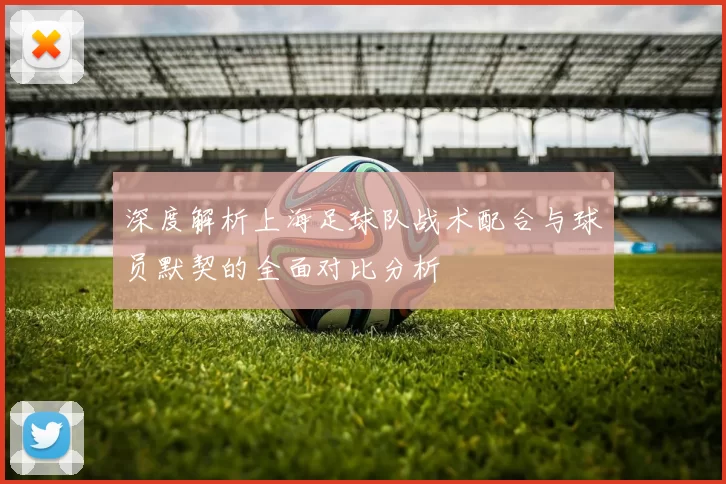 深度解析上海足球队战术配合与球员默契的全面对比分析
