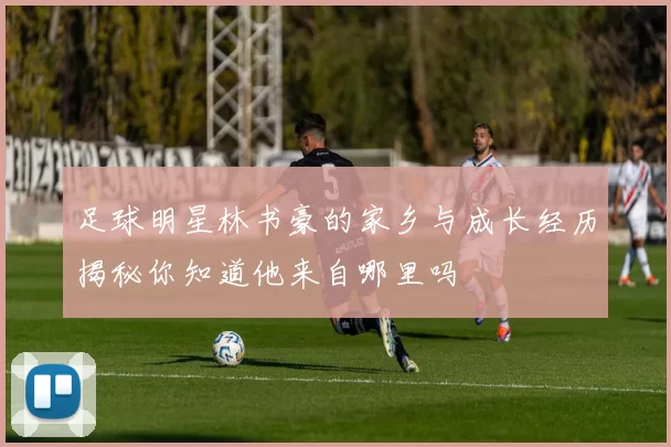 足球明星林书豪的家乡与成长经历揭秘你知道他来自哪里吗