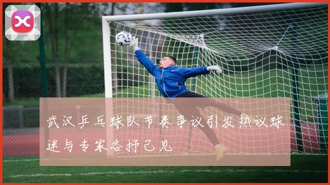 武汉乒乓球队节奏争议引发热议球迷与专家各抒己见