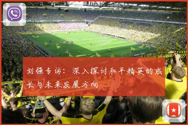 刘强专访：深入探讨和平精英的成长与未来发展方向