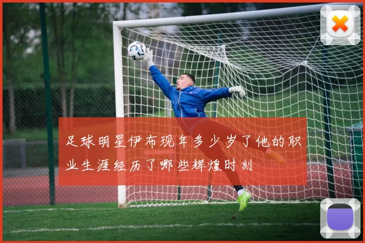 足球明星伊布现年多少岁了他的职业生涯经历了哪些辉煌时刻