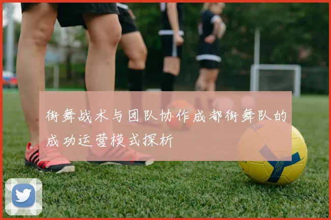 街舞战术与团队协作成都街舞队的成功运营模式探析
