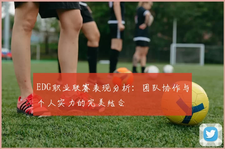 EDG职业联赛表现分析：团队协作与个人实力的完美结合