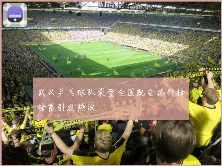 武汉乒乓球队荣登全国配合排行榜榜首引发热议