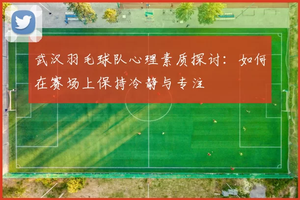 武汉羽毛球队心理素质探讨：如何在赛场上保持冷静与专注