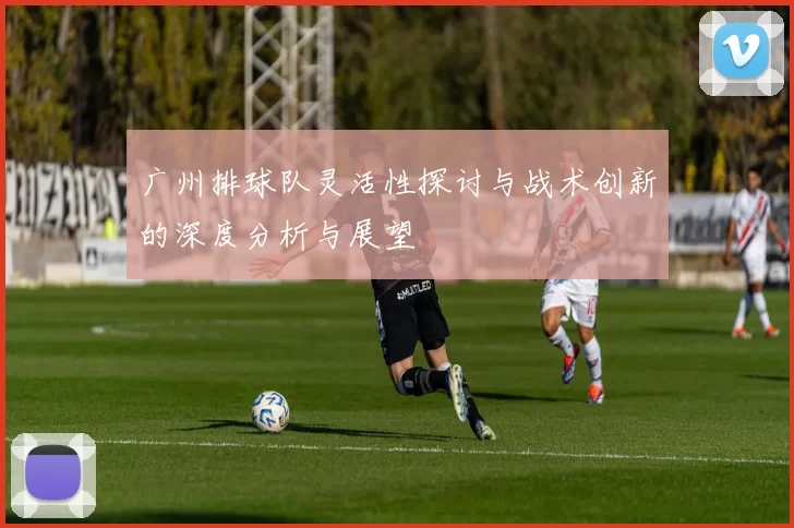 广州排球队灵活性探讨与战术创新的深度分析与展望