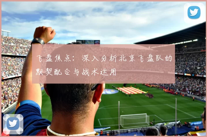 飞盘焦点：深入分析北京飞盘队的默契配合与战术运用