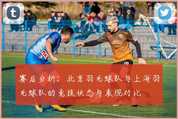 赛后分析：北京羽毛球队与上海羽毛球队的竞技状态与表现对比