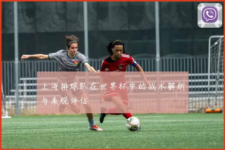 上海排球队在世界杯中的战术解析与表现评估