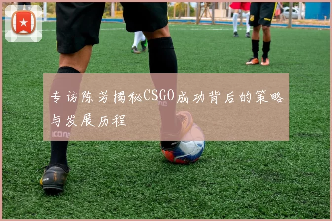 专访陈芳揭秘CSGO成功背后的策略与发展历程
