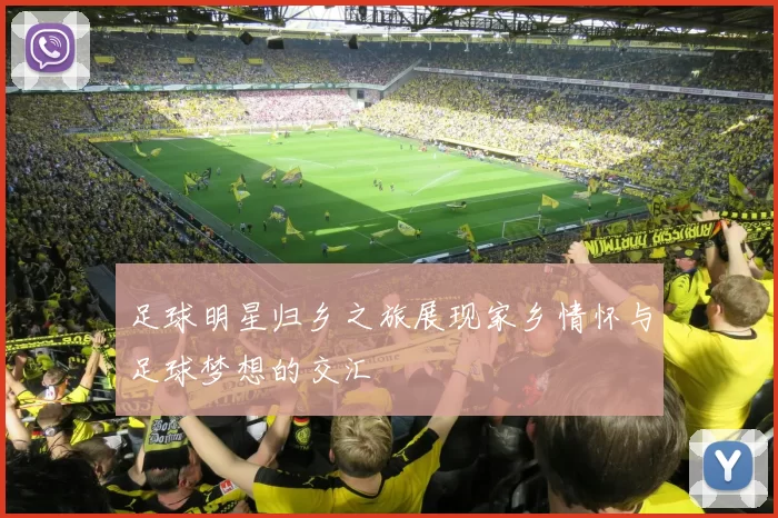 足球明星归乡之旅展现家乡情怀与足球梦想的交汇