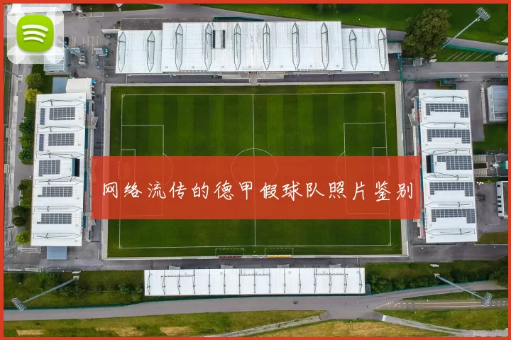 网络流传的德甲假球队照片鉴别